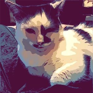 Meet your Posher, Diana